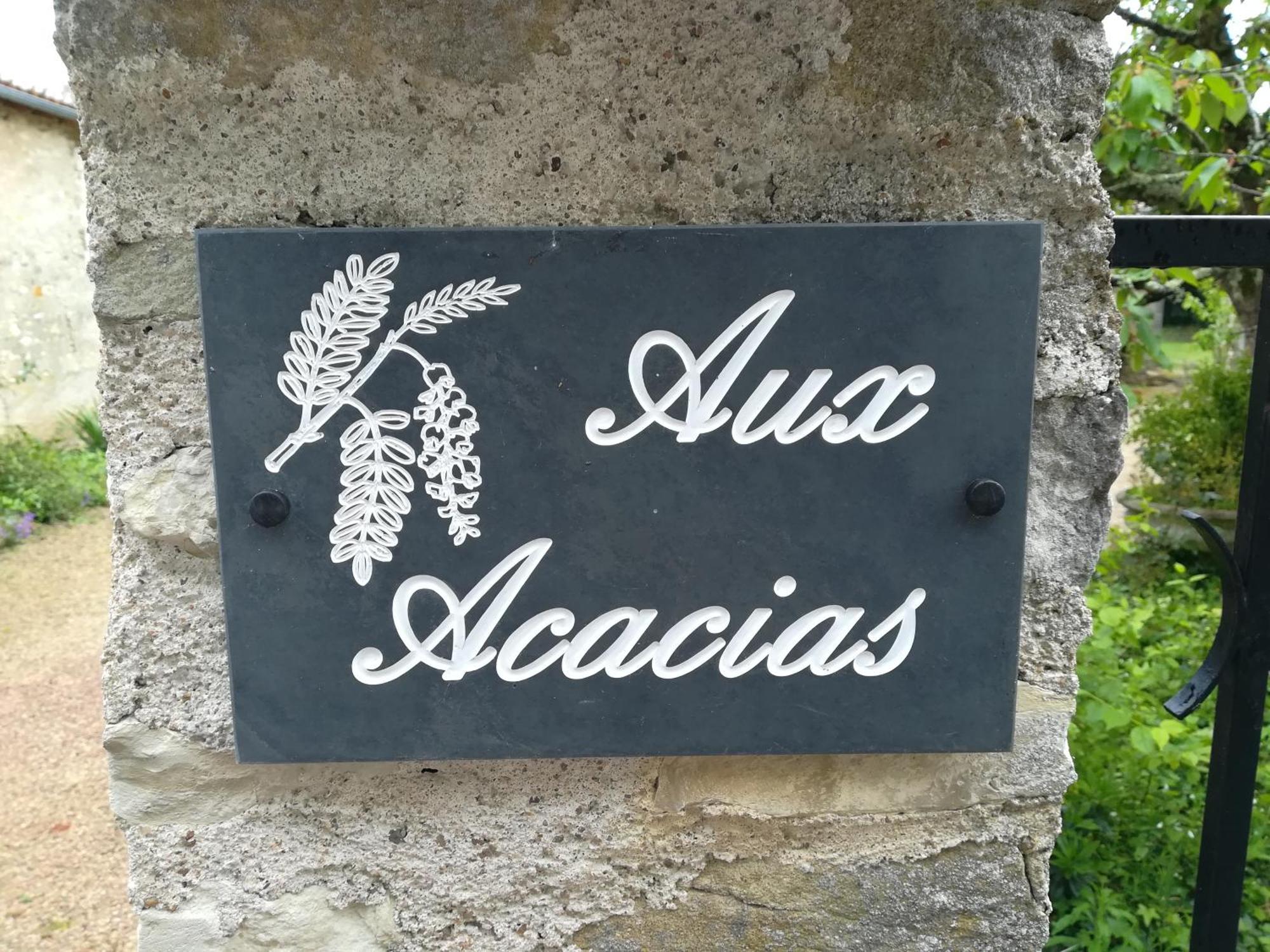 Villa Aux Acacias à Braye-sous-Faye Extérieur photo